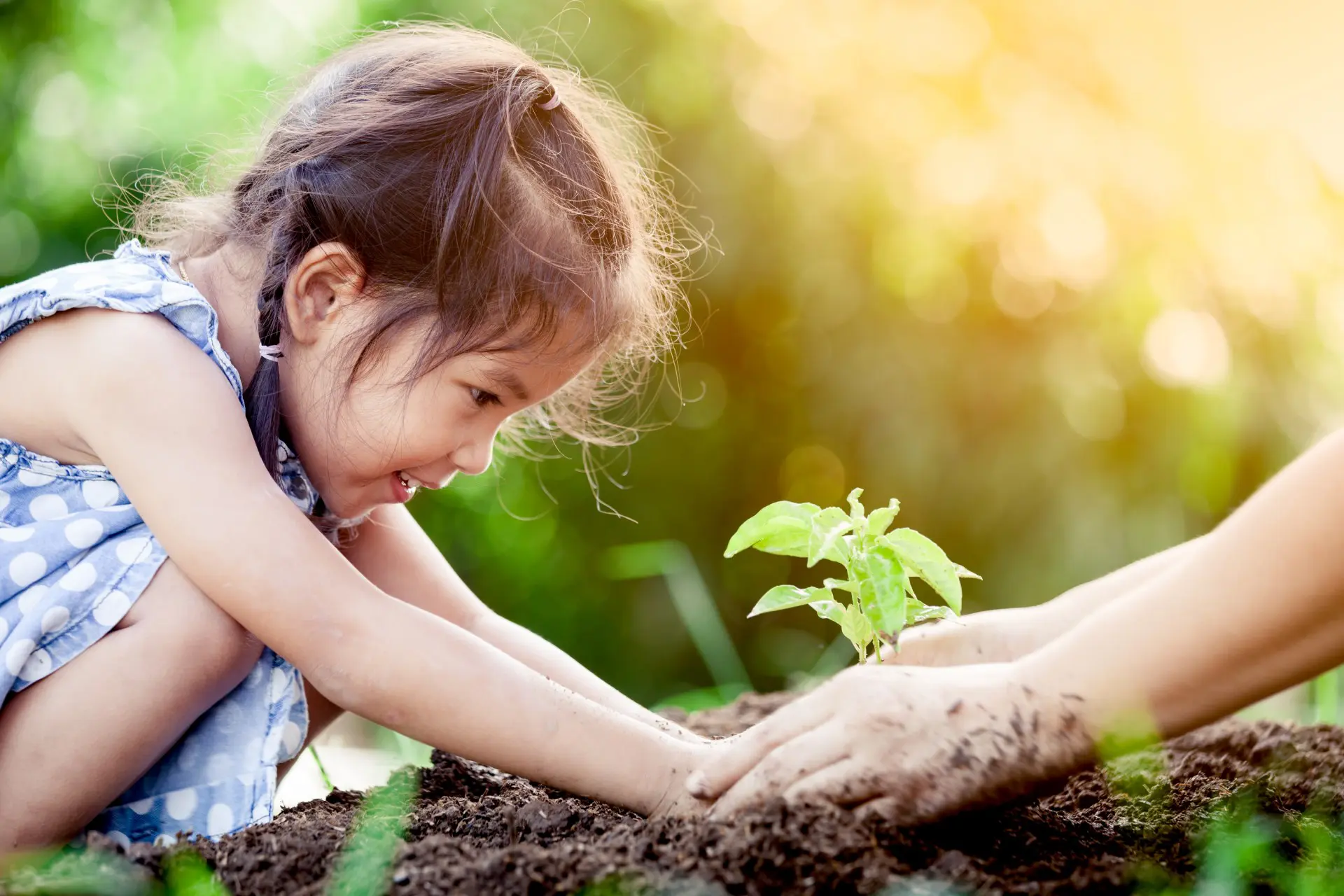 Child planting a seedling in soil.
